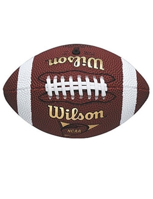 Wilson NFL Micro 